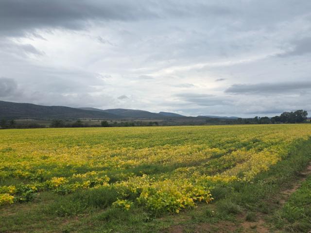 Farm for sale in Nylstroom, Limpopo