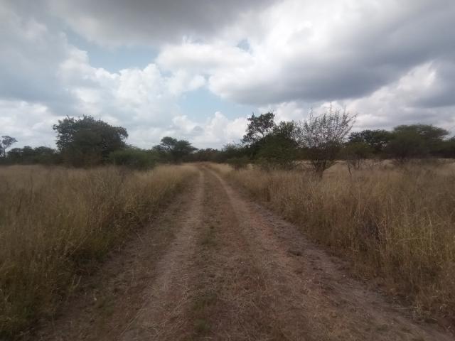 Farm for sale in Potgietersrus, Limpopo