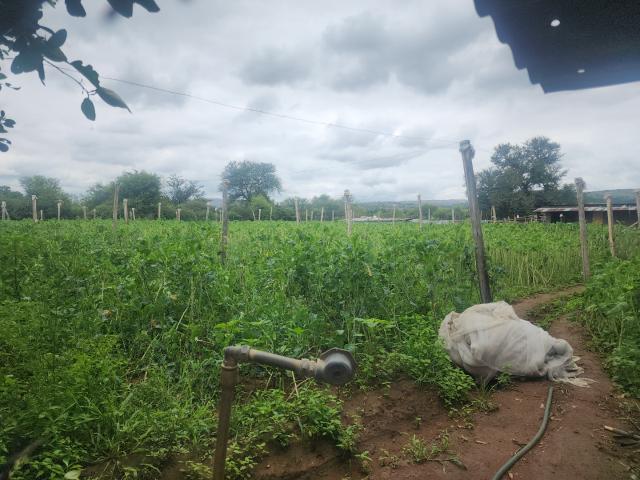 Farm for sale in Hartbeespoort Dam Nature Reserve, North West