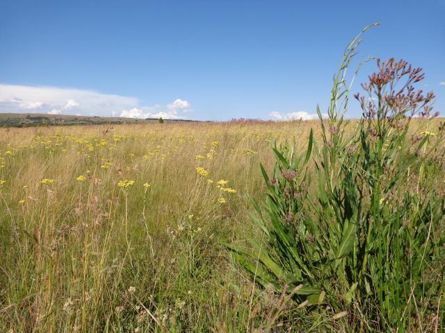 Farm for sale in Kungwini, Gauteng