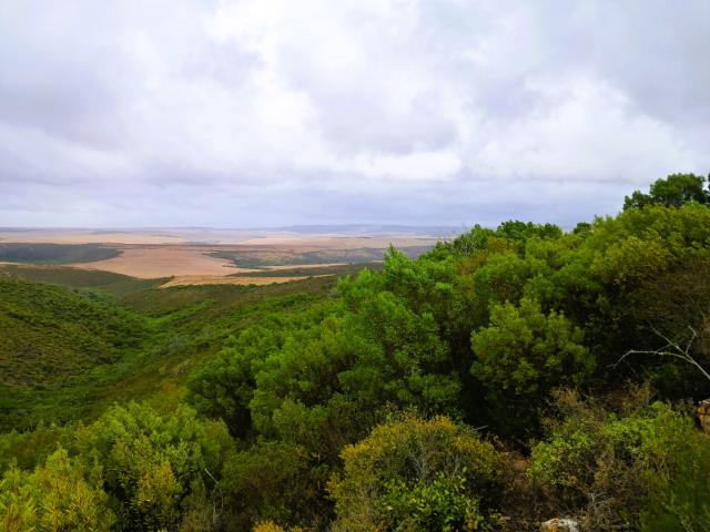 Farm for sale in Groot Brak Rivier, Western Cape