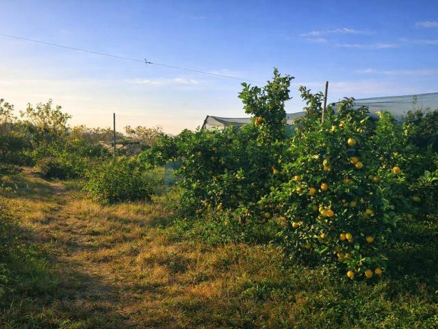 Farm for sale in Seshego, Limpopo