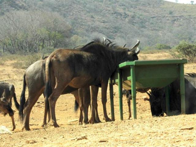 Property for sale in Greater Tubatse Municipality, Limpopo