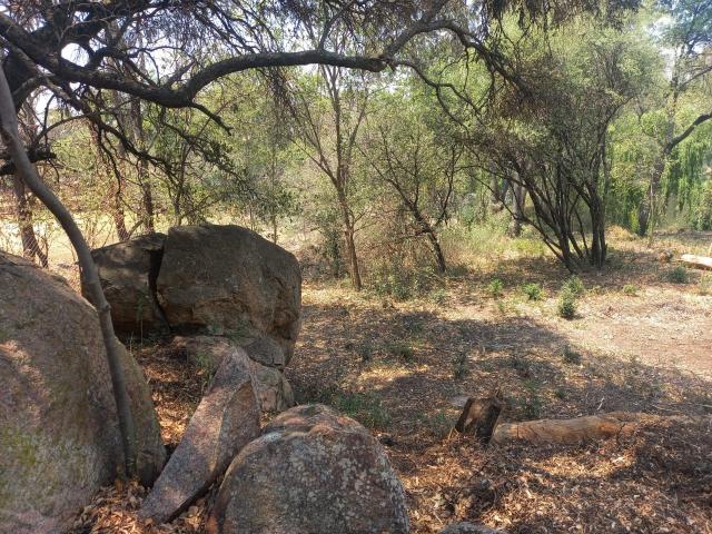 Farm for sale in Koppies, Free State