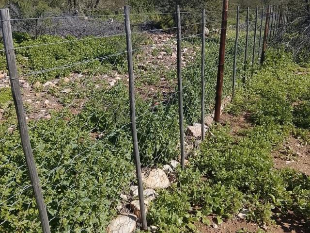 Farm for sale in Western Cape