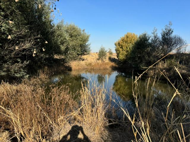 Farm for sale in Refilwe, Gauteng