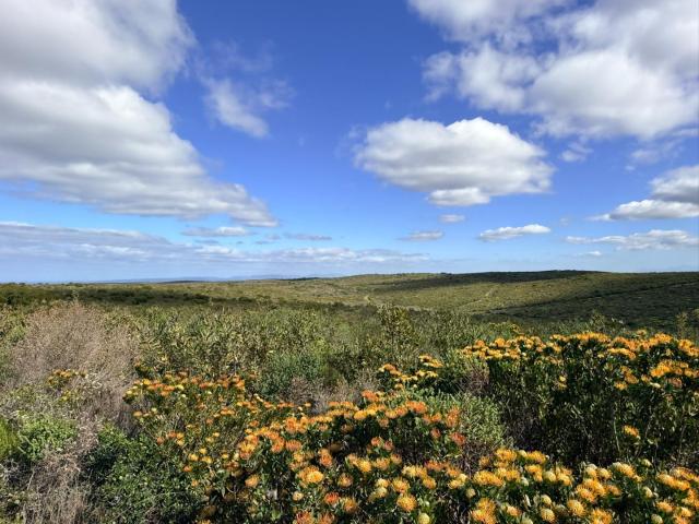 Farm for sale in Groot Brak Rivier, Western Cape