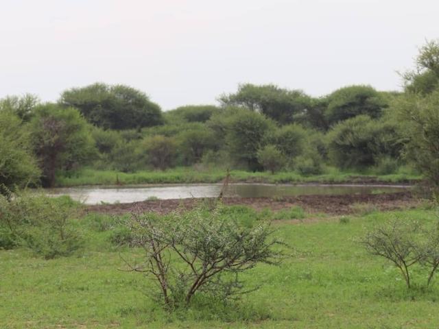 Farm for sale in Naboomspruit, Limpopo