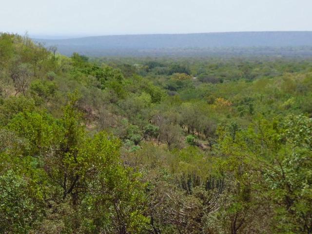 Farm for sale in Belabela, Limpopo