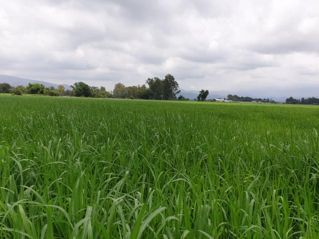 Farm for sale in Tlhabane, North West