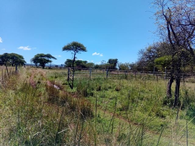 Farm for sale in Belabela, Limpopo