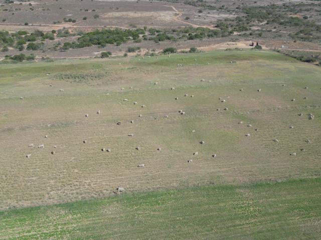 Farm for sale in Somerset East, Eastern Cape