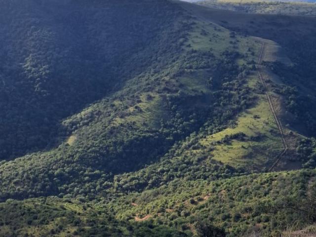 Farm for sale in Somerset East, Eastern Cape