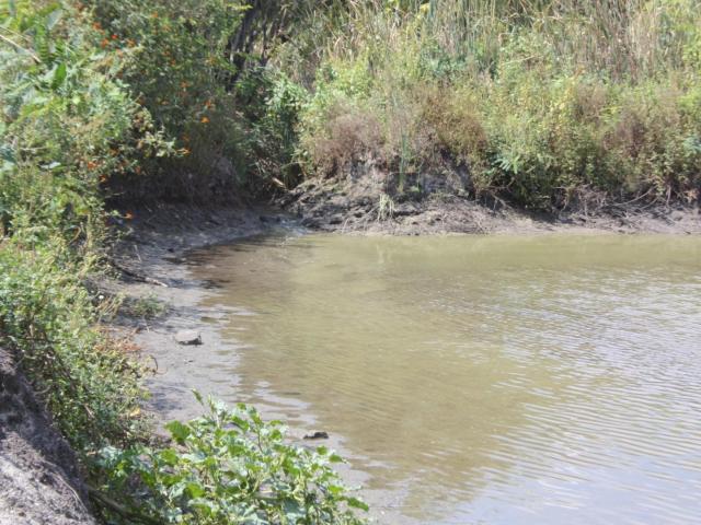 Farm for sale in Hartbeespoort Dam Nature Reserve, North West