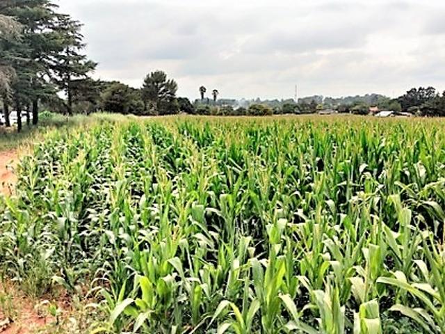Farm for sale in Lesedi Local Municipality, Gauteng