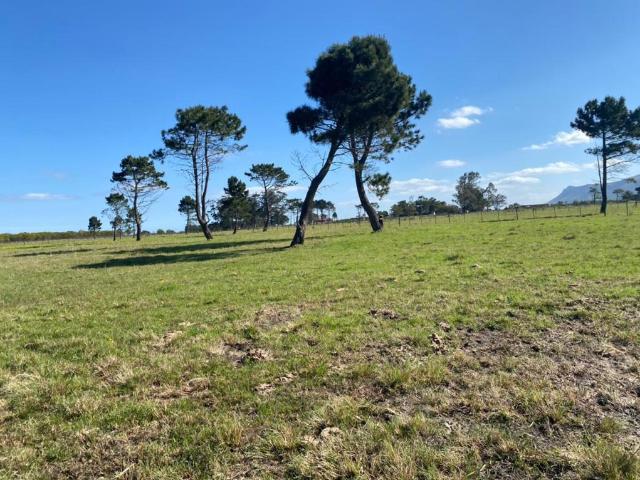 Farm for sale in Beachview, Eastern Cape