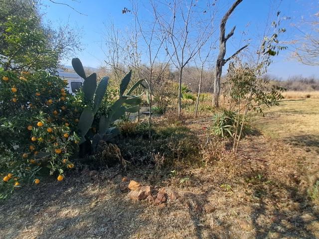 Farm for sale in Limpopo