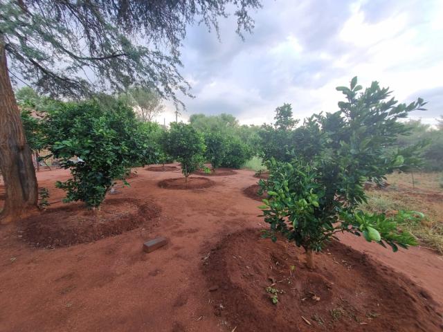 Farm for sale in Limpopo