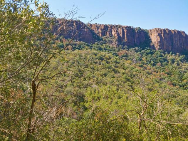 Farm for sale in Limpopo