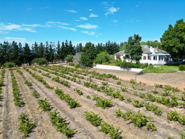 Farm for sale in West Coast, Riebeeck Valley