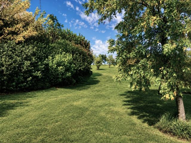 Farm for sale in Mantsopa, Free State