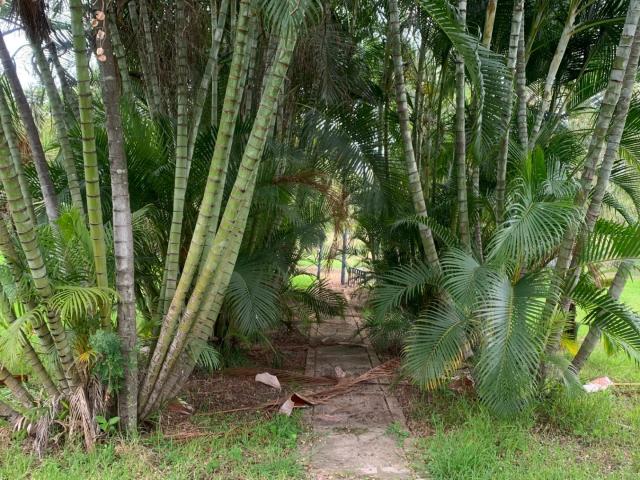 Farm for sale in Mopani, Limpopo