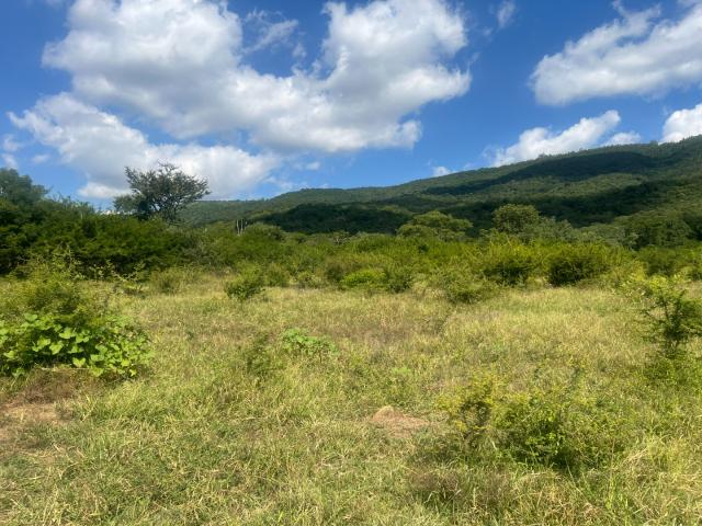 Farm for sale in Mopani, Limpopo