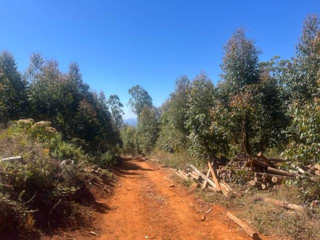 Farm for sale in Mopani, Limpopo