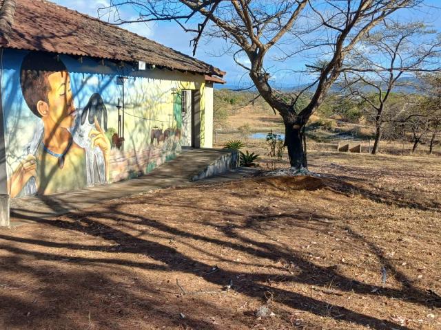 Farm for sale in Mopani, Limpopo