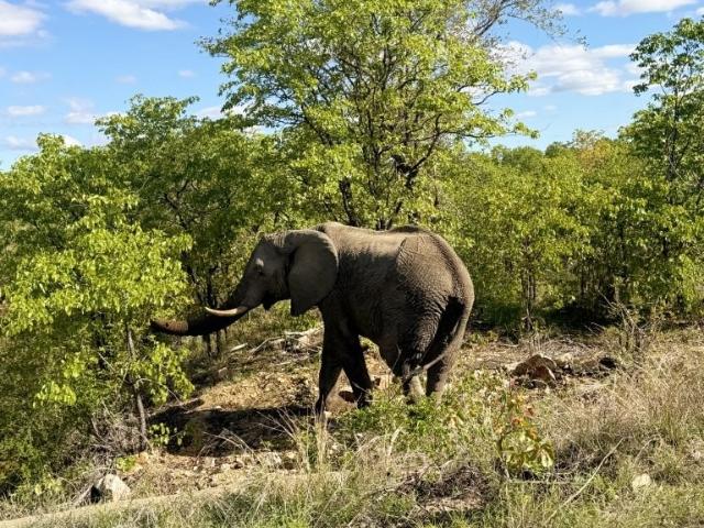 Farm for sale in Ehlanzeni, Mpumalanga