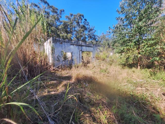 Farm for sale in Ugu District Municipality, Kwazulu-natal
