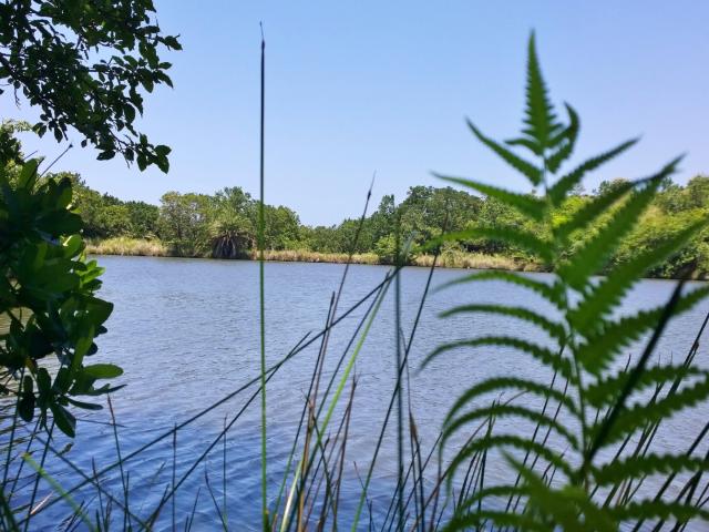 Farm for sale in Ugu District Municipality, Kwazulu-natal