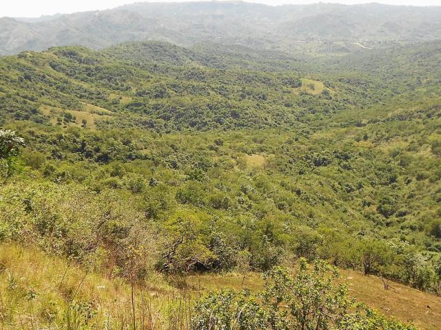 Farm for sale in Ugu District Municipality, Kwazulu-natal