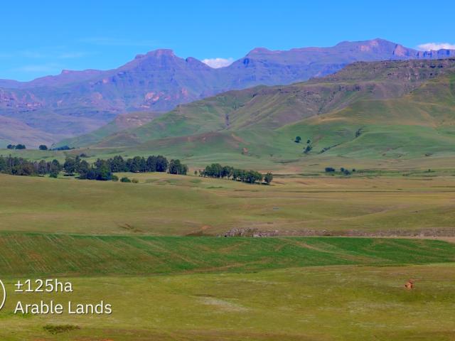 Farm for sale in Kwazulu-natal