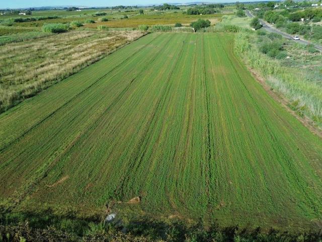 Farm for sale in Northern Cape