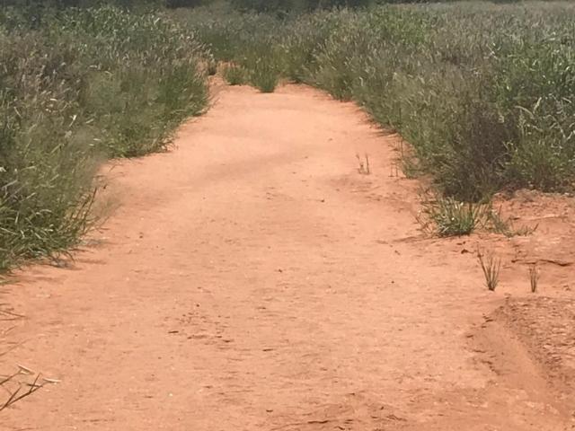 Farm for sale in Northern Cape