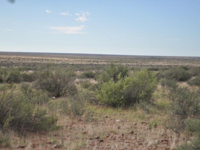 Farm for sale in Northern Cape