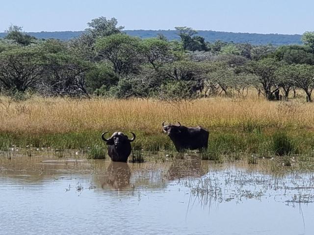 Farm for sale in Nylstroom, Limpopo