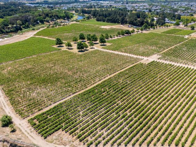 Farm for sale in Onverwacht, Western Cape