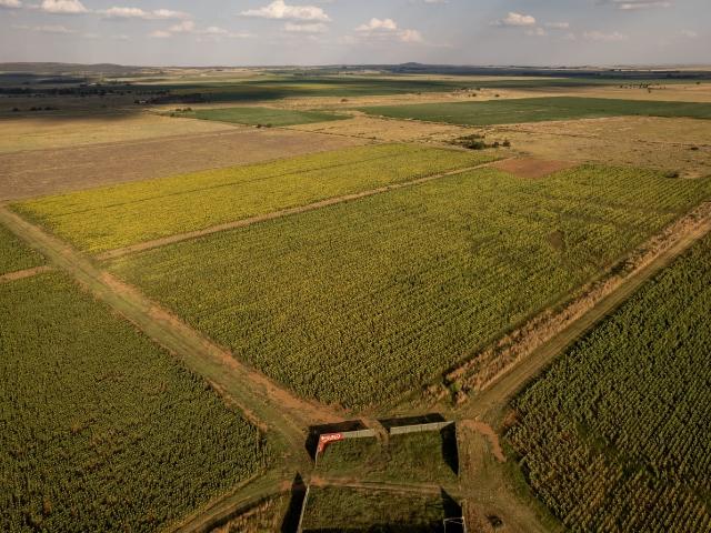 Farm for sale in Koppies, Free State