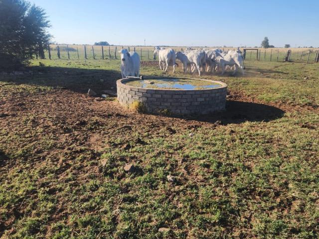 Farm for sale in Dr Ruth Segomotsi Mompati District Municipality, North West