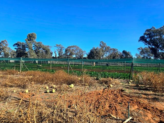 Farm for sale in Midvaal, Gauteng