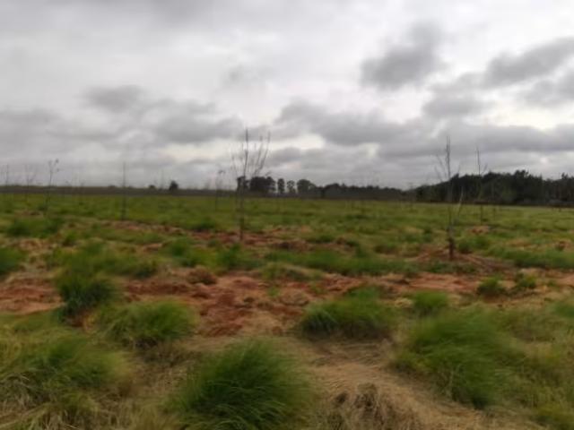 Farm for sale in Koster Grain Silos, Kgetleng River Local Municipality