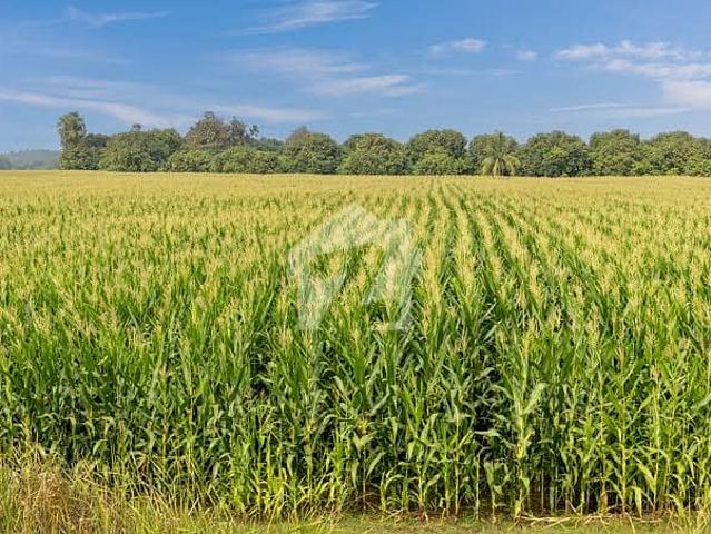 Land for sale in Attock, Islamabad Capital Territory