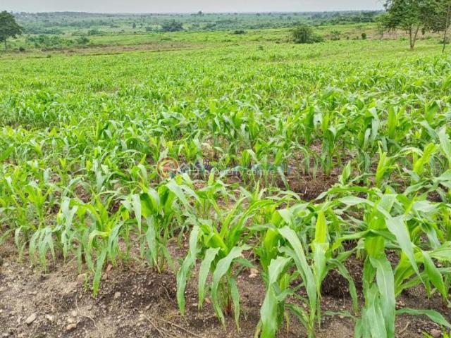 Land for sale in Abeokuta North, Ogun