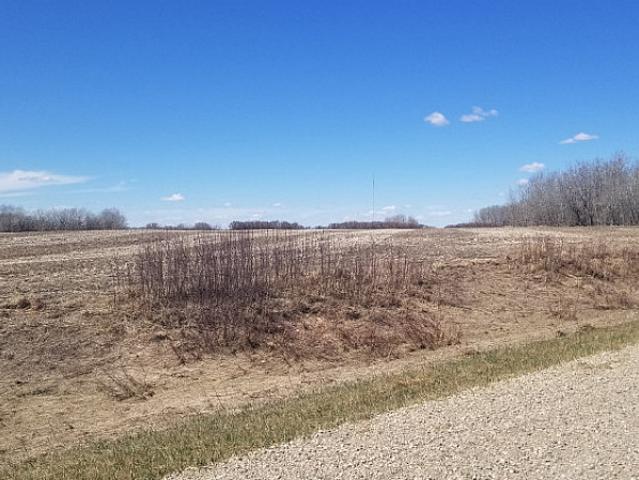 Land for sale in Manitoba