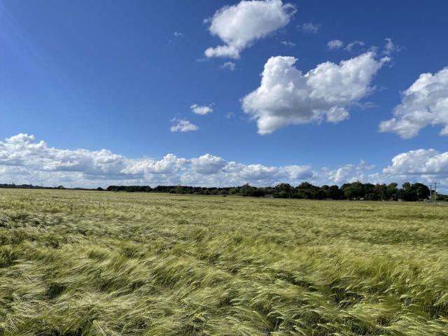 Farm for sale in East Newton, Aldbrough