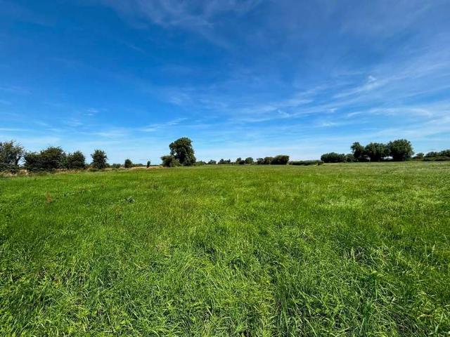 Farm for sale in East Huntspill