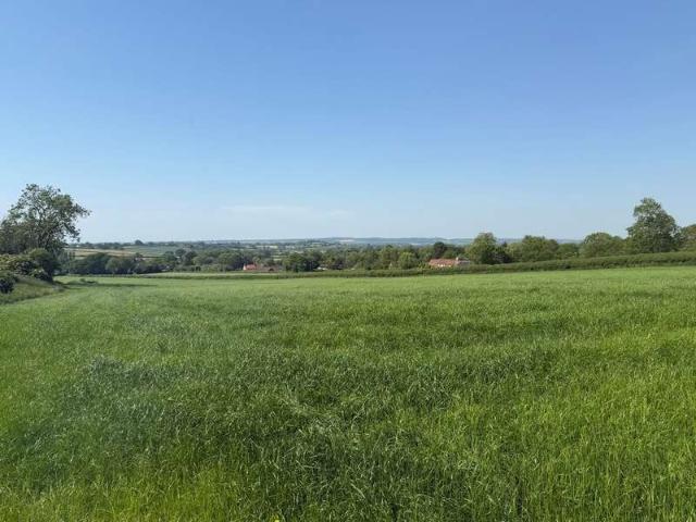 Farm for sale in East Pennard, Somerset