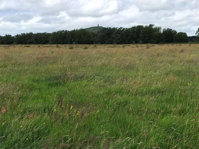 Farm for sale in Butleigh, Somerset